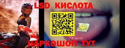 амф Гатчина