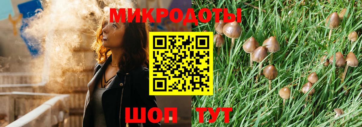 Псилоцибиновые грибы GOLDEN TEACHER Чайковский